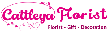 Cattleya Florist